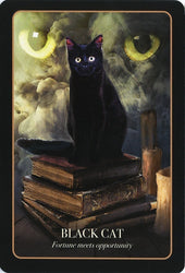 The Halloween Oracle (ONLINE ORDER ONLY)