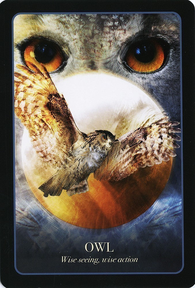 The Halloween Oracle (ONLINE ORDER ONLY)