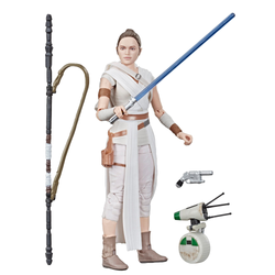 Star Wars: The Black Series - Rey and D-0 6-Inch Action Figure #91 (ONLINE ORDER ONLY)