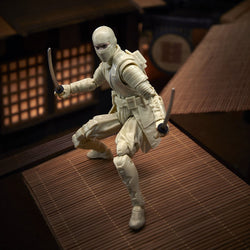 G.I. Joe Classified Series: Snake Eyes - Storm Shadow 6-Inch Action Figure (ONLINE ORDER ONLY)