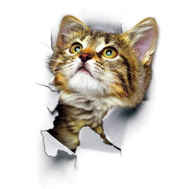 3D Cat Wall Sticker Vinyl Decal Home Decor Art Poster (ONLINE ORDER ONLY)