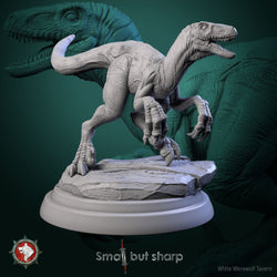 Halfling Dino Mount Set – Dinosaur Beast Miniatures (ONLINE ORDER ONLY)