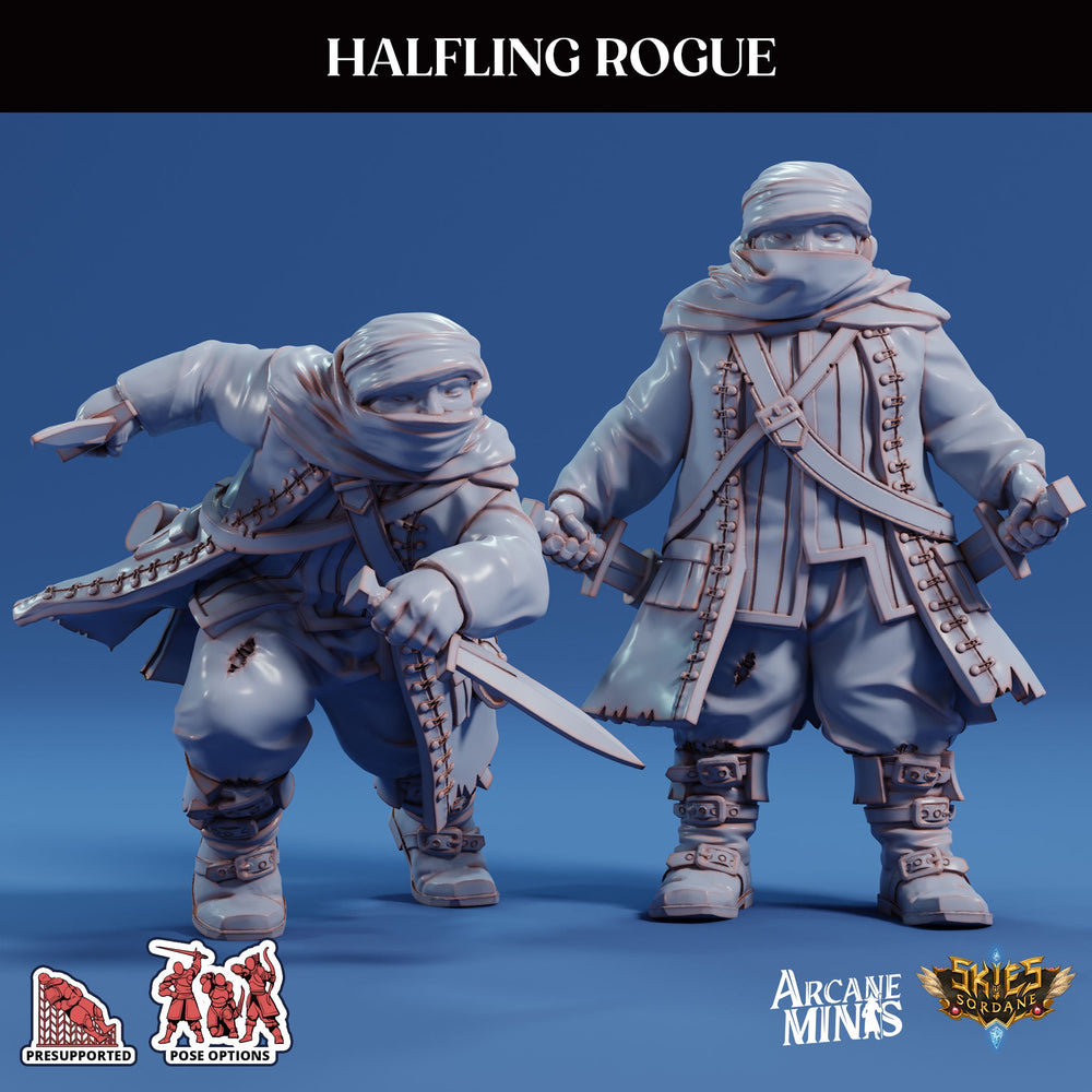 3D Printed Sordane Publishing Arcane Minis Swindler's Luck Part Two - Halfling Rogue 28 32mm D&D (Online Only)