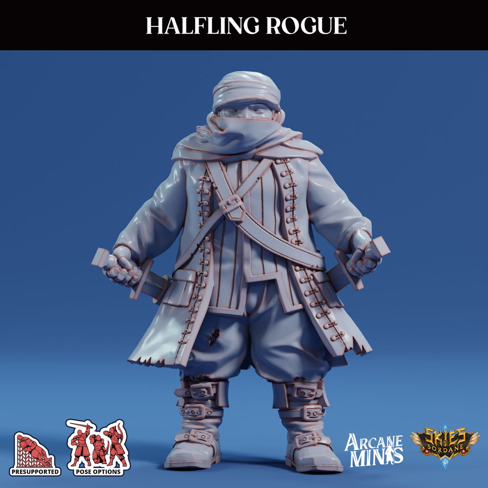 3D Printed Sordane Publishing Arcane Minis Swindler's Luck Part Two - Halfling Rogue 28 32mm D&D (Online Only)