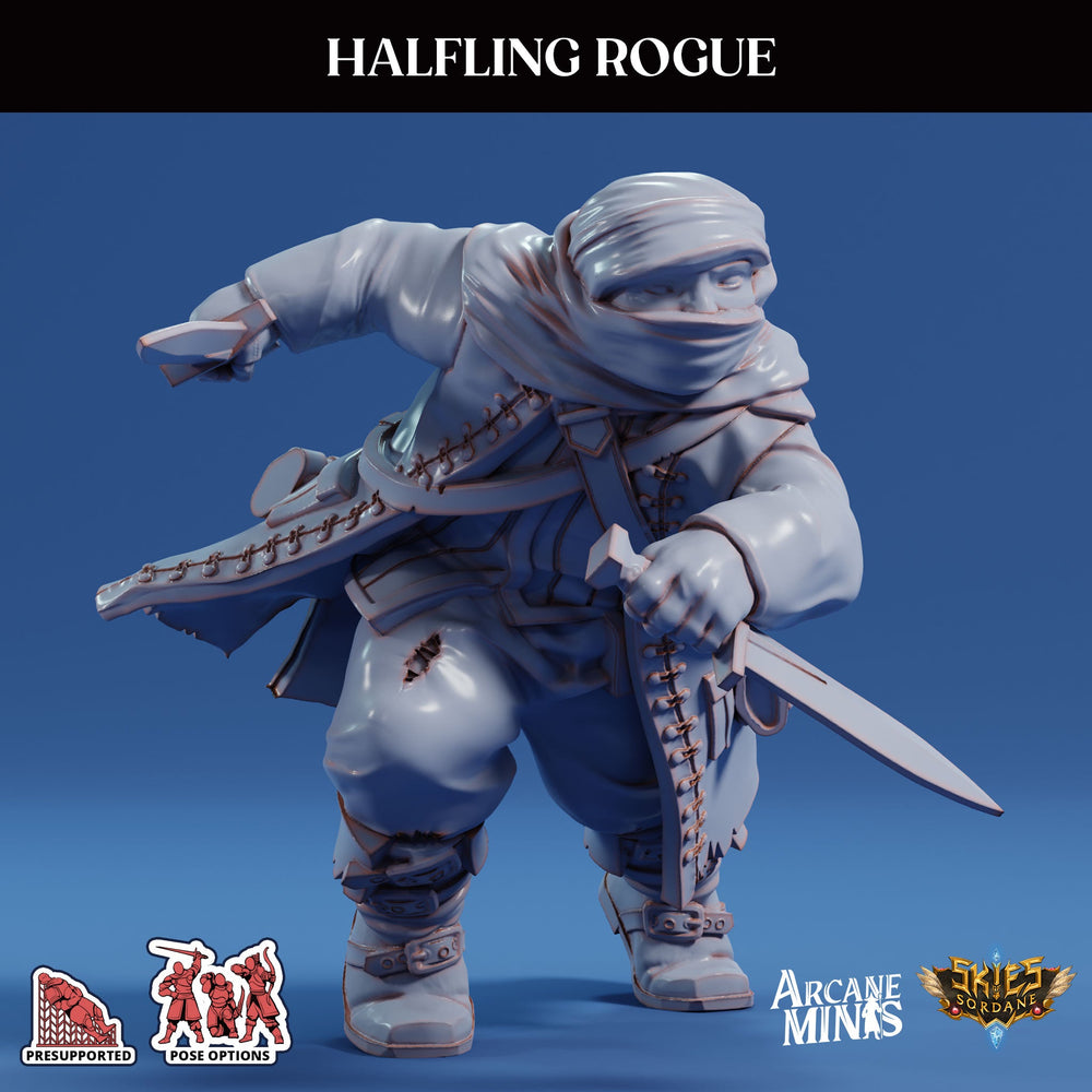 3D Printed Sordane Publishing Arcane Minis Swindler's Luck Part Two - Halfling Rogue 28 32mm D&D (Online Only)