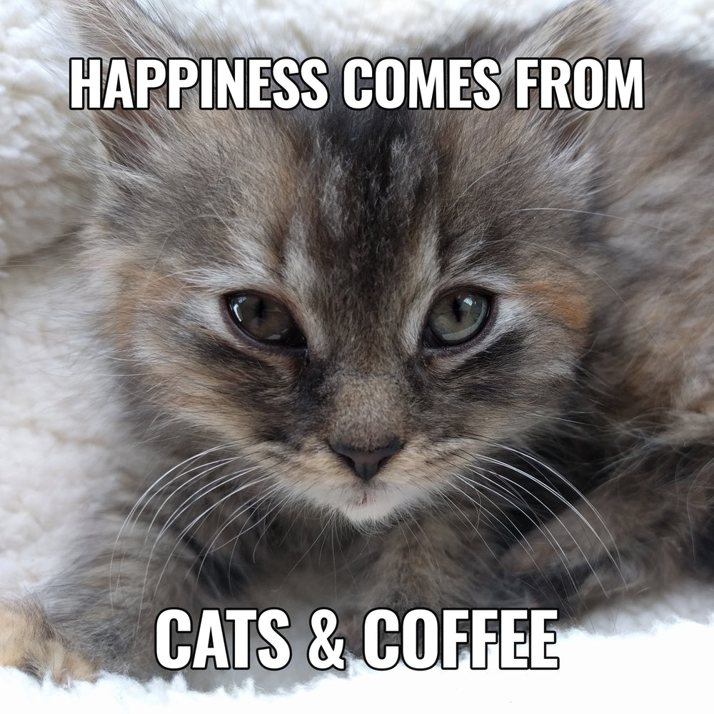 Happiness Meme Sticker (Online Order Only)