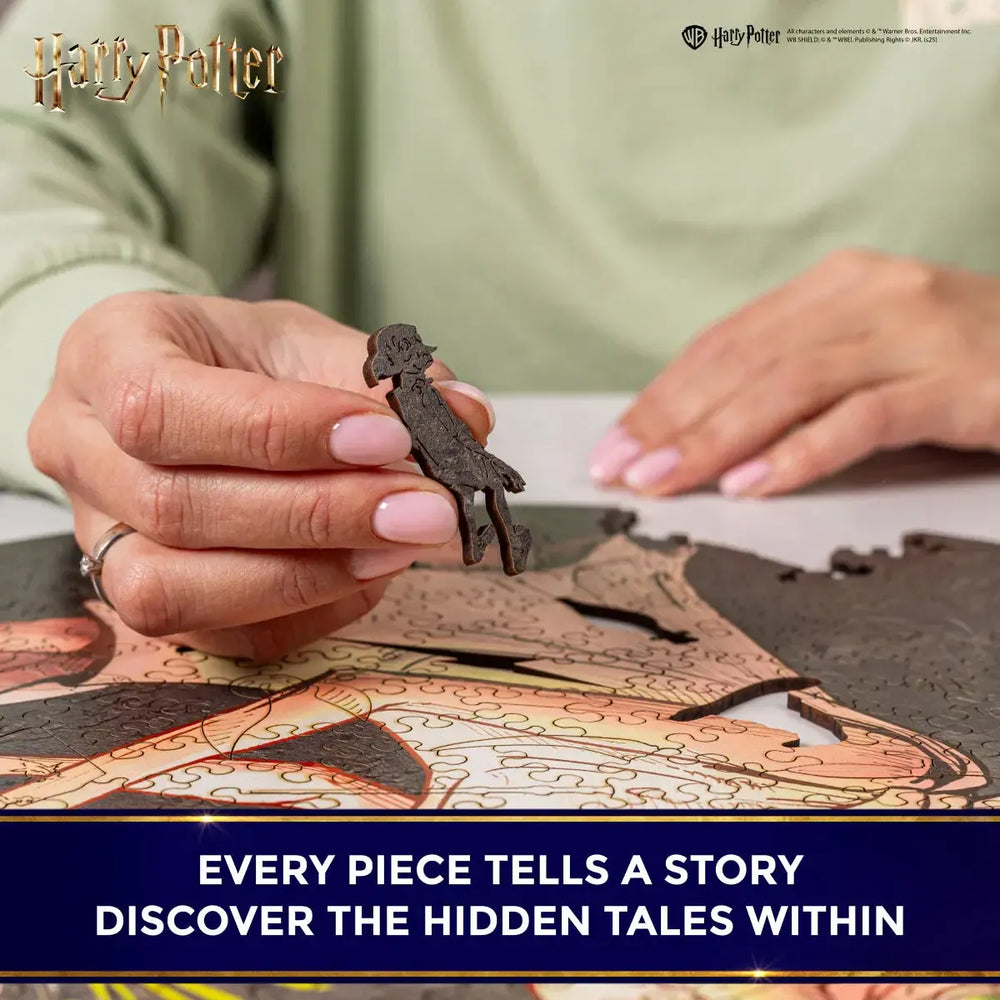 Harry Potter Dobby Wooden Jigsaw Puzzle Woods Story
