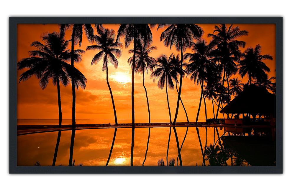 Professionally Framed Hawaii Palmtree Sunset Skyline High-Resolution Panoramic Photo 12x22 Wall Art (ONLINE ORDER ONLY)