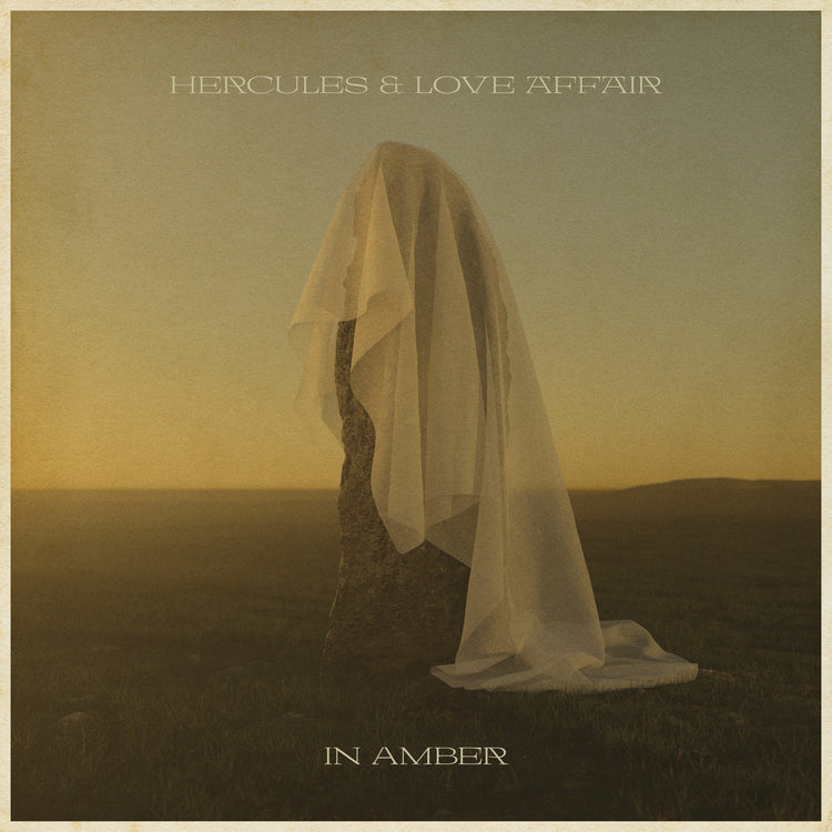 In Amber [Vinyl]