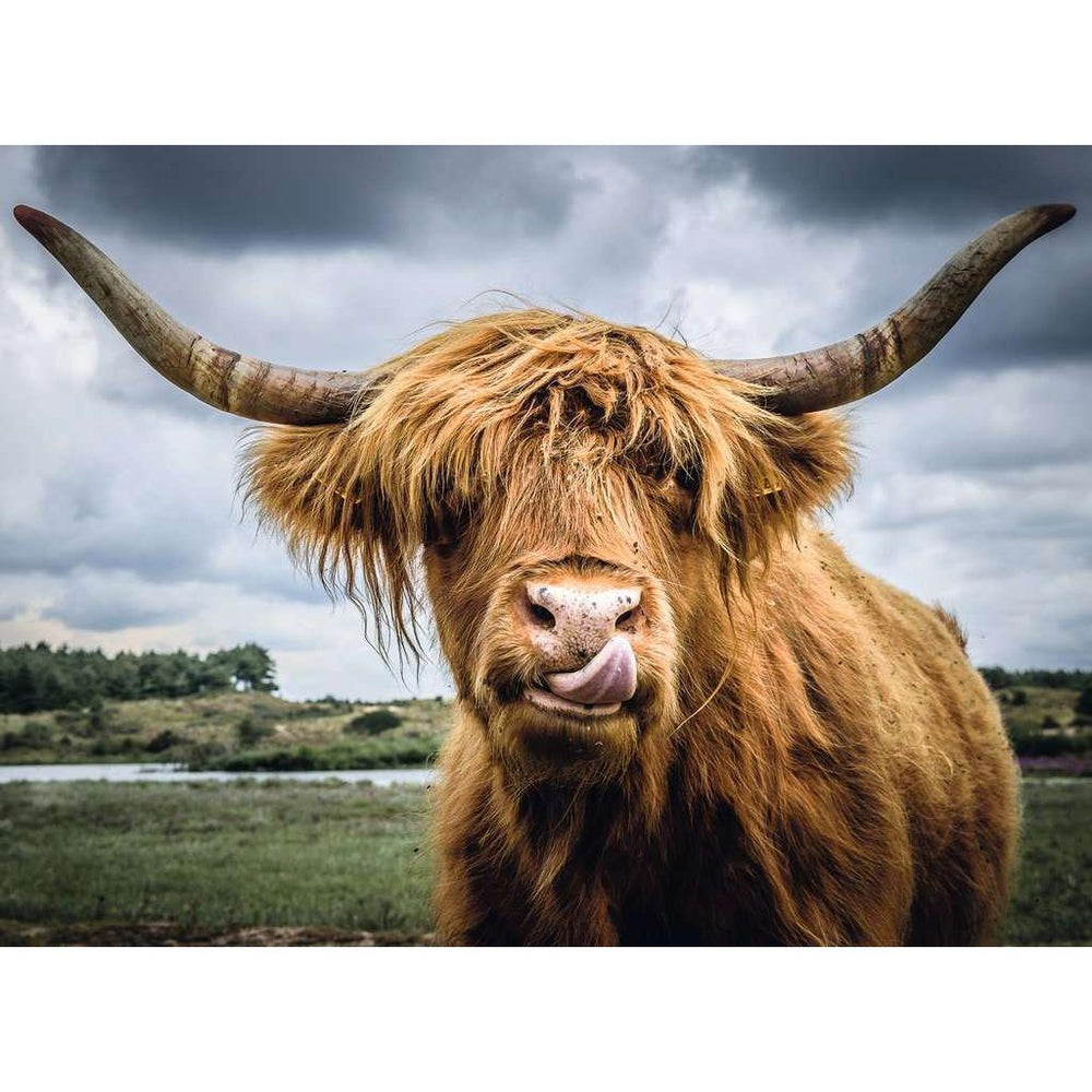 Highland Cattle 300 Piece Jigsaw Puzzle Ravensburger (ONLINE ORDER ONLY)