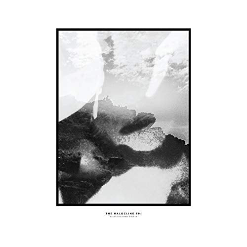 The Halocline Eps [Vinyl] (ONLINE ORDER ONLY)