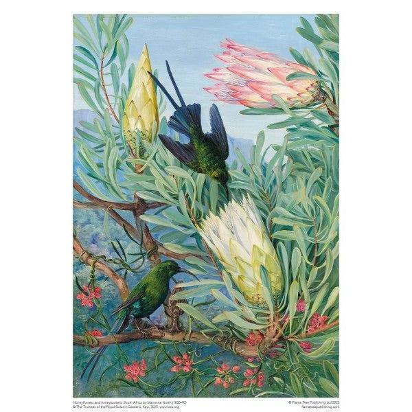 Honeyflowers & Honeysuckers by M. North 1000 Piece Jigsaw Puzzle Flame Tree