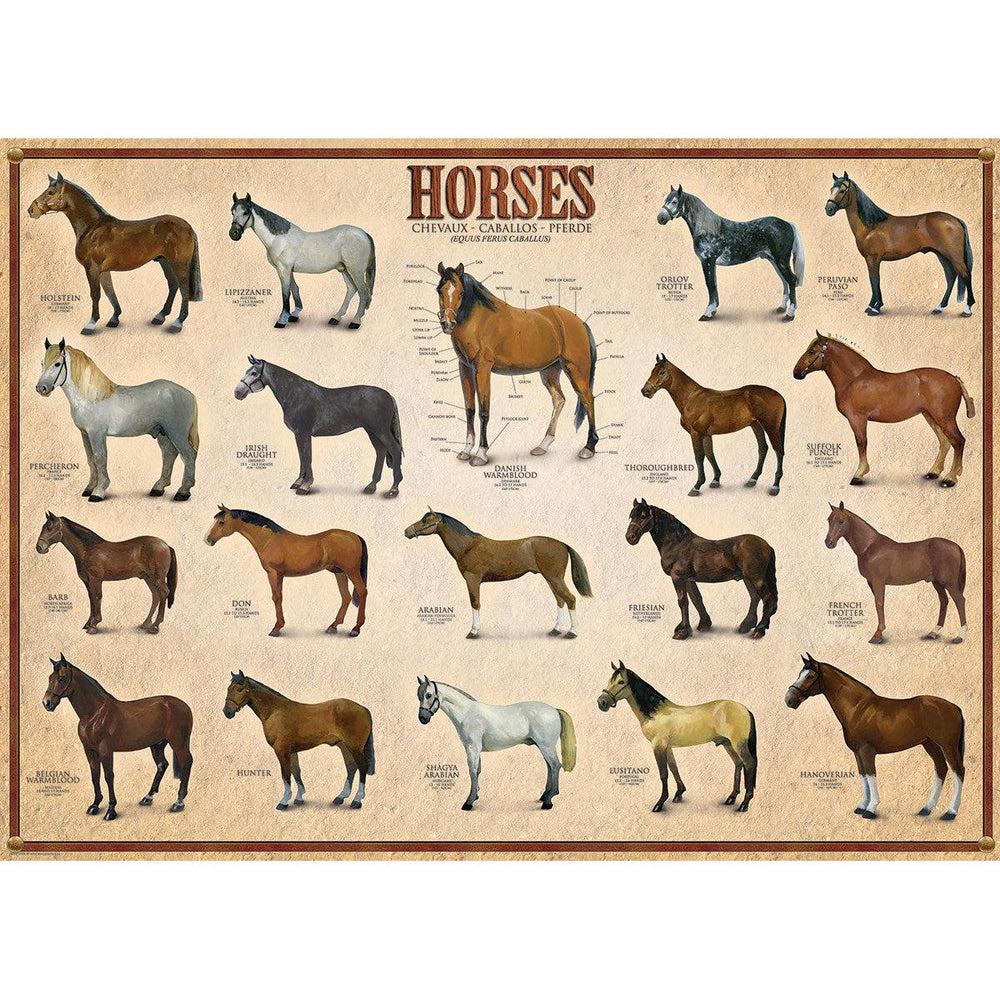 Horses 1000 Piece Jigsaw Puzzle Eurographics (ONLINE ORDER ONLY)