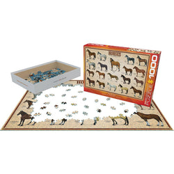Horses 1000 Piece Jigsaw Puzzle Eurographics (ONLINE ORDER ONLY)