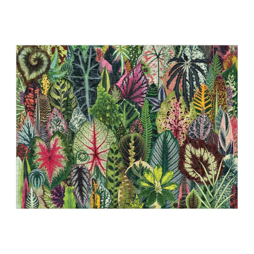 Houseplant Jungle 1000 Piece Jigsaw Puzzle Galison (ONLINE ORDER ONLY)
