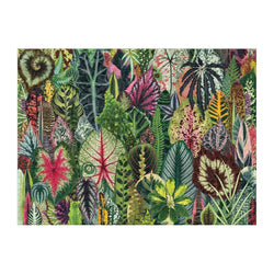 Houseplant Jungle 1000 Piece Jigsaw Puzzle Galison (ONLINE ORDER ONLY)