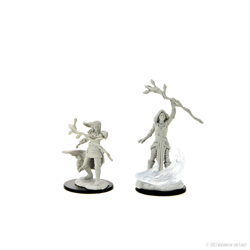 D&D: Nolzur's Marvelous Miniatures - Human Druid Female (ONLINE ORDER ONLY)
