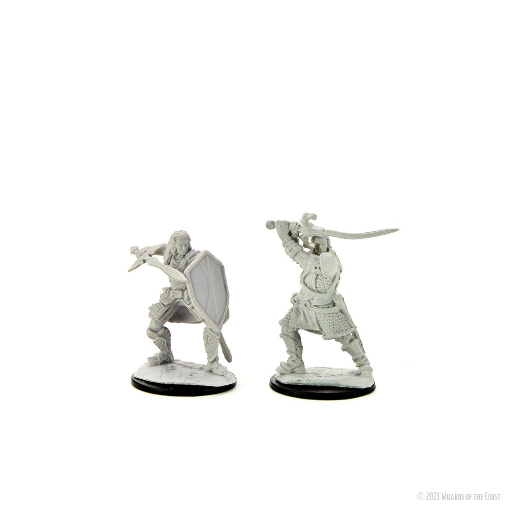 D&D: Nolzur's Marvelous Miniatures - Human Paladin Male (ONLINE ORDER ONLY)