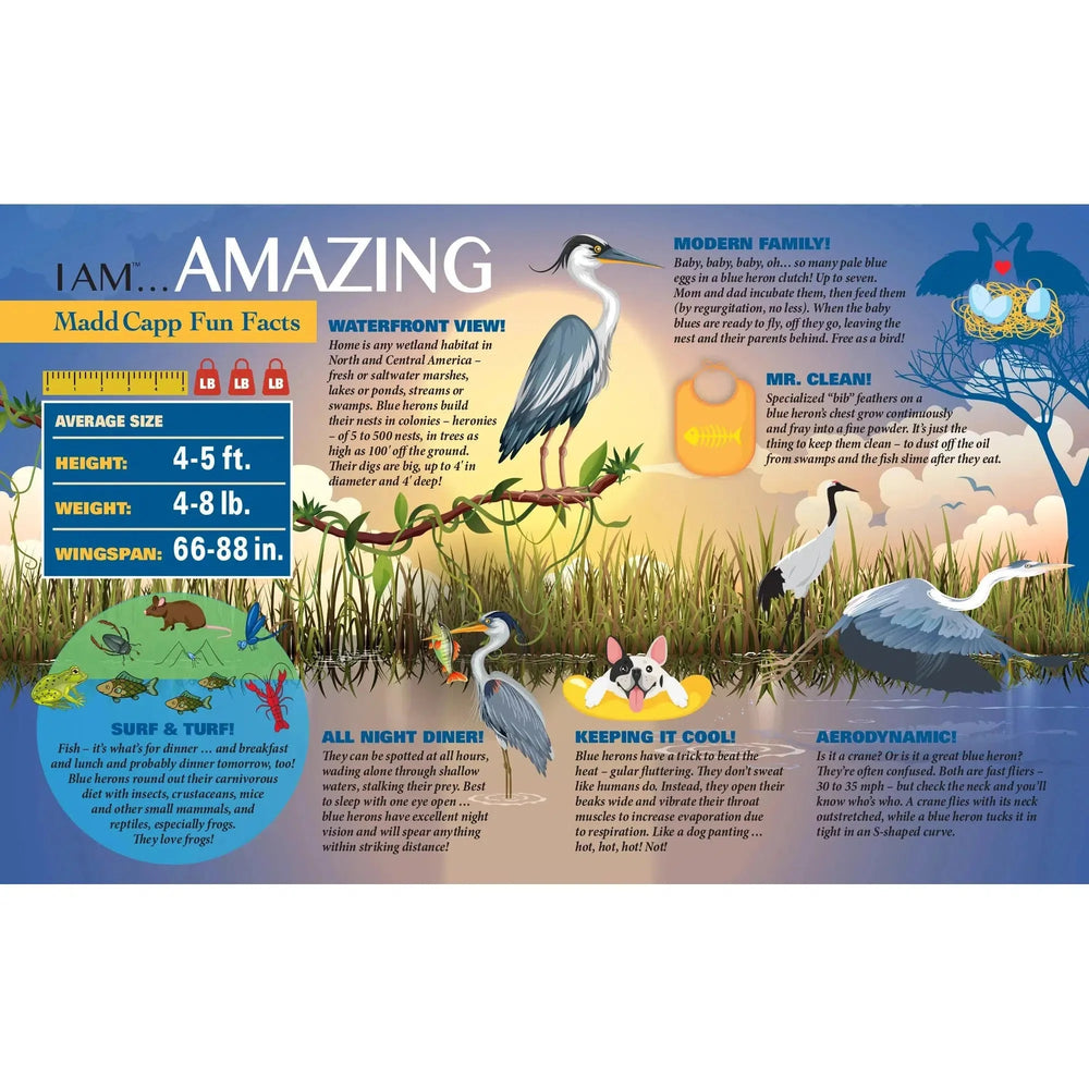 I Am Blue Heron 300 Piece Bird Shaped Jigsaw Puzzle Madd Capp (ONLINE ORDER ONLY)