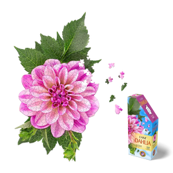 I Am Dahlia 350 Piece Floral Shaped Jigsaw Puzzle Madd Capp (ONLINE ORDER ONLY)