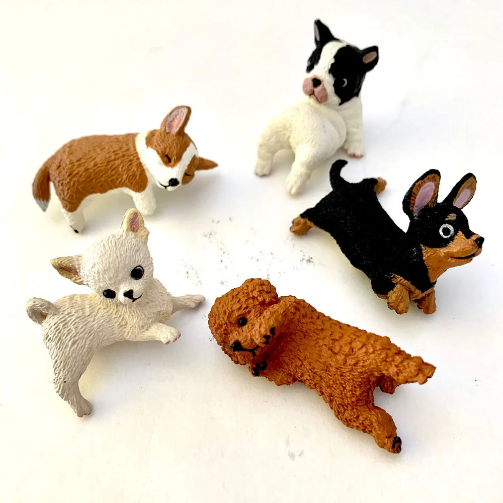 PLAYFUL HANGING DOGS BLIND BOX (1 Blind Box) (ONLINE ORDER ONLY)