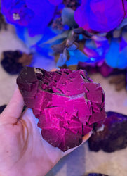 RARE Black Rose Fluorite Specimens, Fluoresce Red or Pink (ONLINE ORDER ONLY)