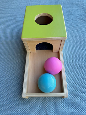 Object Permanence Box (ONLINE ORDER ONLY)