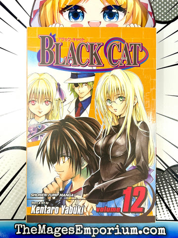 Black Cat Vol 12 (Online Order Only)