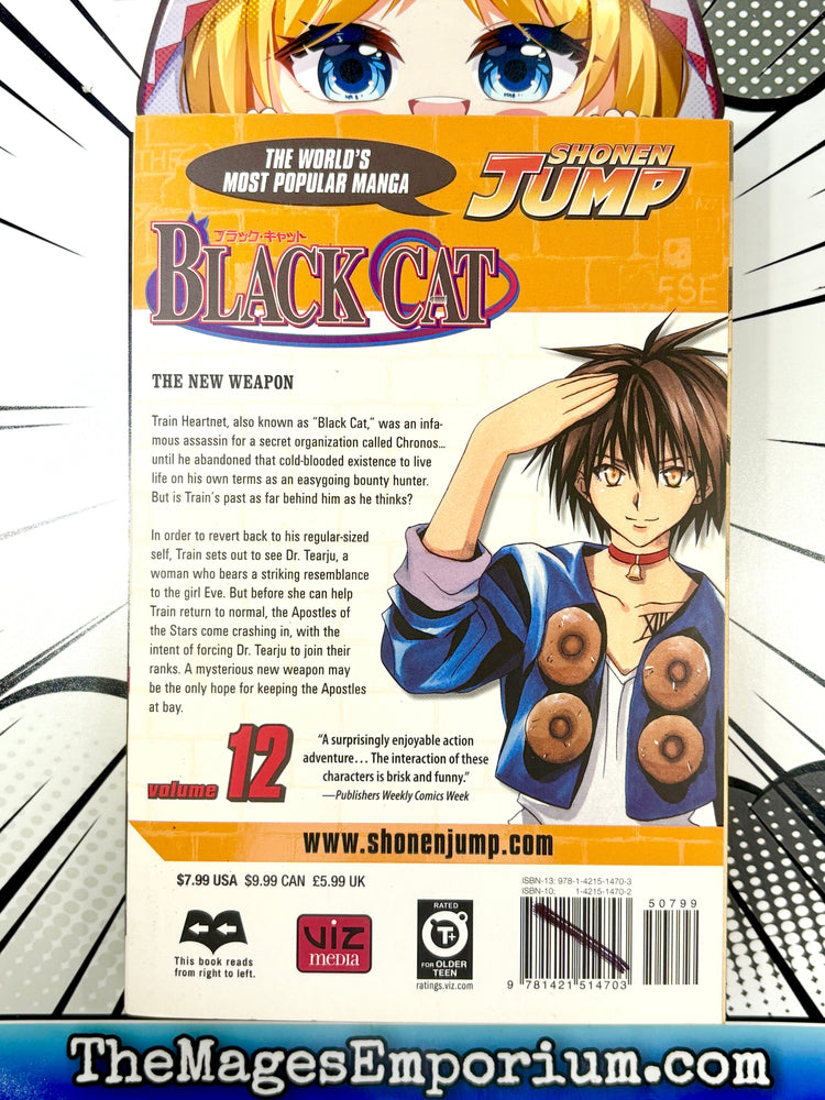 Black Cat Vol 12 (Online Order Only)