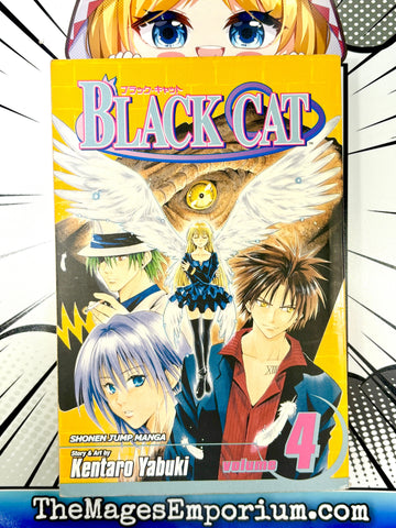 Black Cat Vol 4 (Online Order Only)