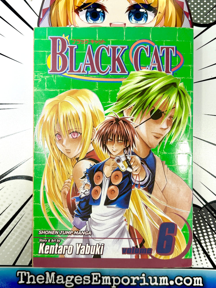 Black Cat Vol 6 (Online Order Only)