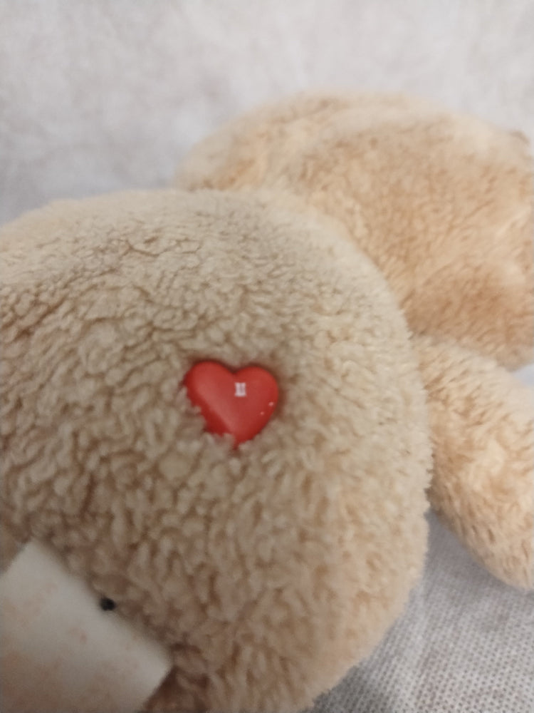 Care Bears Plush - Tenderheart Bear (ONLINE ORDER ONLY)