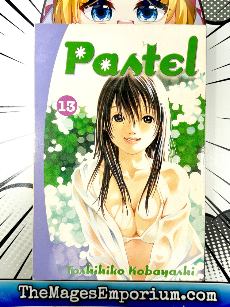 Pastel Vol 13 (Online Order Only)