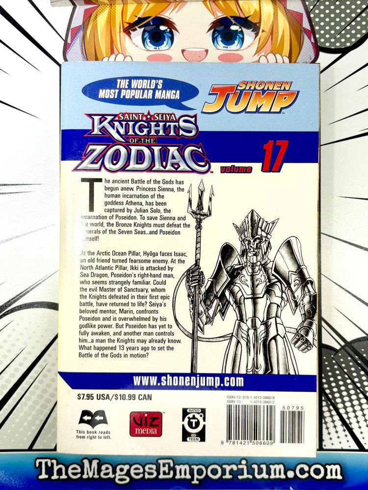 Knights of the Zodiac Vol 17 (Online Order Only)
