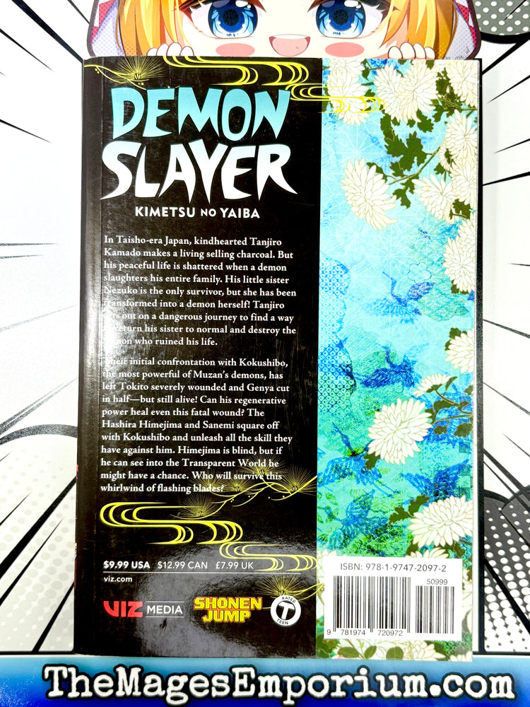 Demon Slayer Vol 20 (Online Order Only)