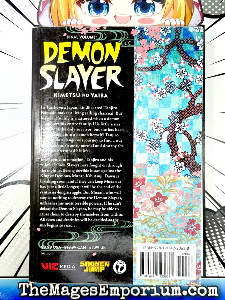 Demon Slayer Vol 23 (Online Order Only)