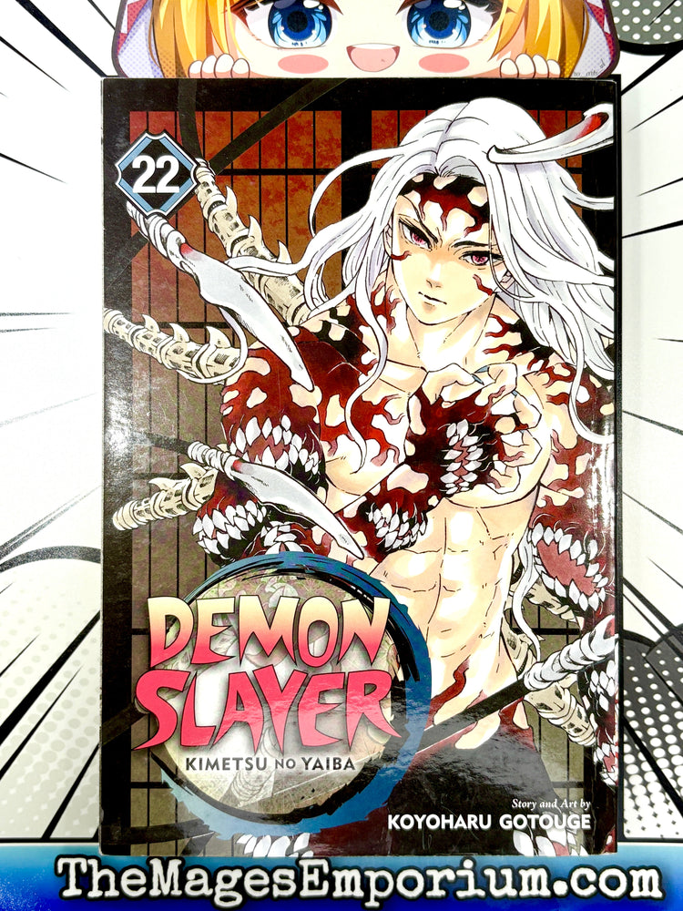 Demon Slayer Vol 22 (Online Order Only)