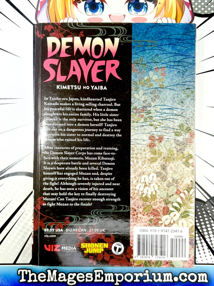 Demon Slayer Vol 22 (Online Order Only)