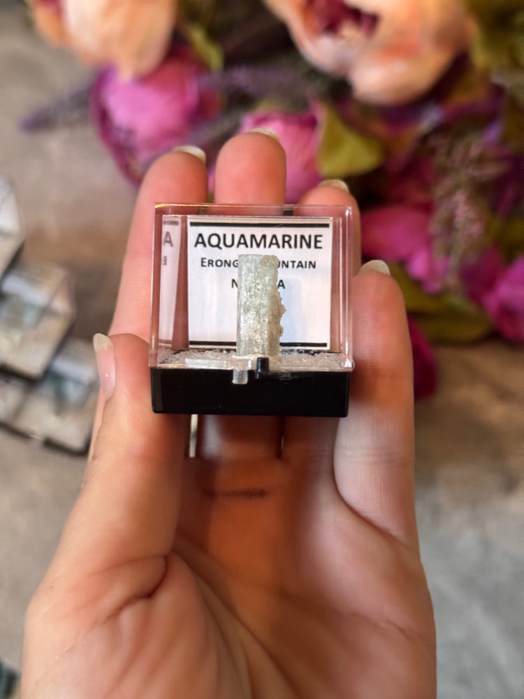 Aquamarine Specimens, Erongo Namibia, Perkie Box (ONLINE ORDER ONLY)