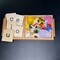 Consonant-Vowel-Consonant (CVC) Short Vowel Word Practice Set (ONLINE ORDER ONLY)