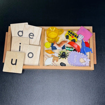 Consonant-Vowel-Consonant (CVC) Short Vowel Word Practice Set (ONLINE ORDER ONLY)