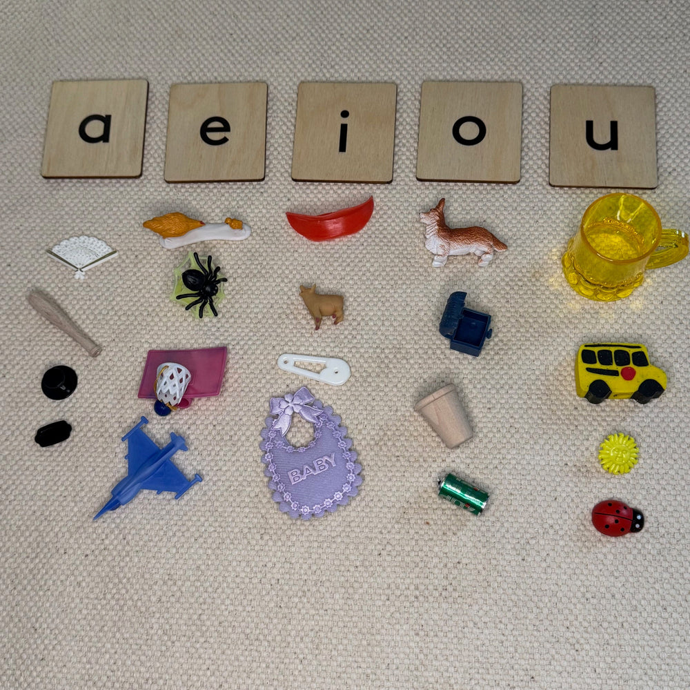 Consonant-Vowel-Consonant (CVC) Short Vowel Word Practice Set (ONLINE ORDER ONLY)