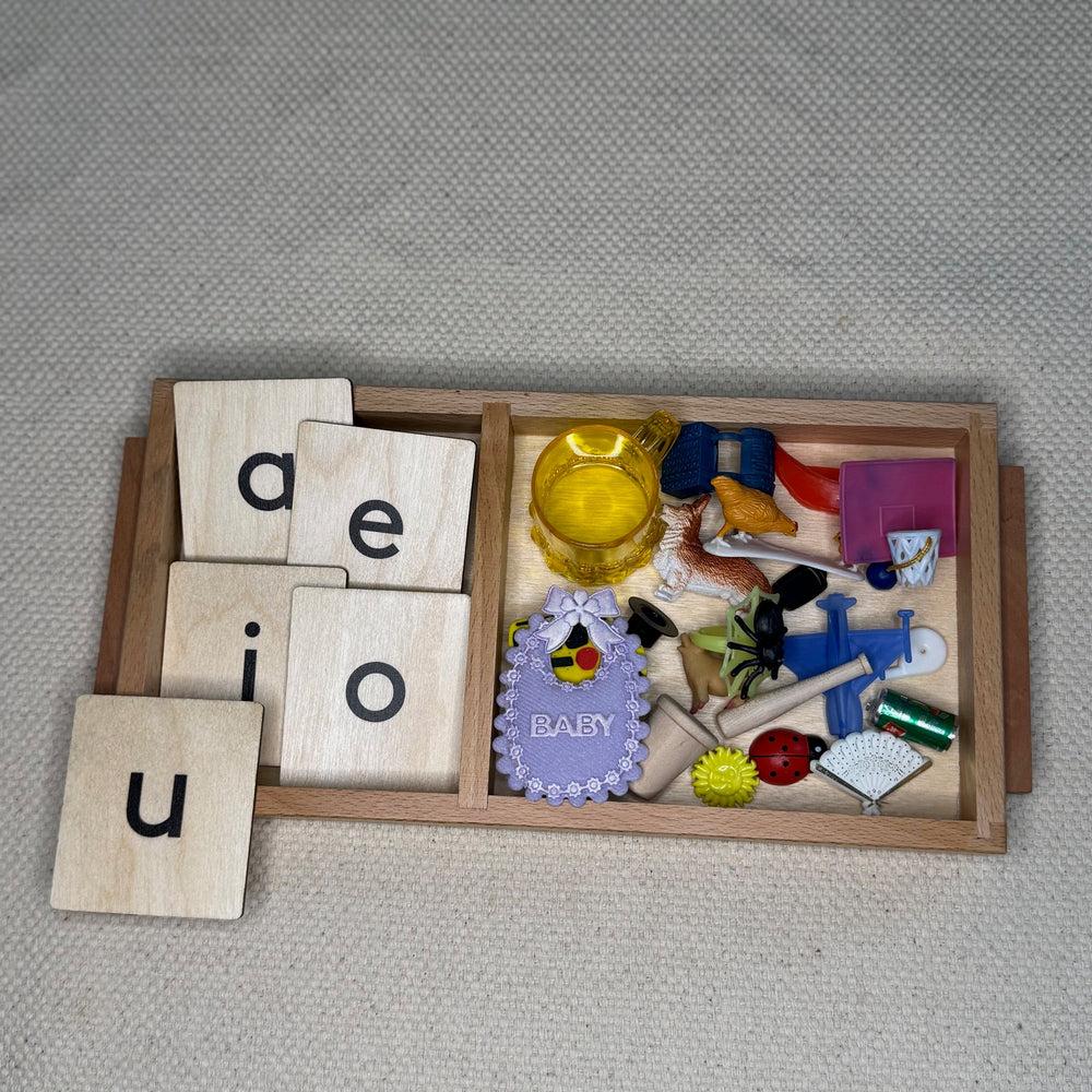 Consonant-Vowel-Consonant (CVC) Short Vowel Word Practice Set (ONLINE ORDER ONLY)