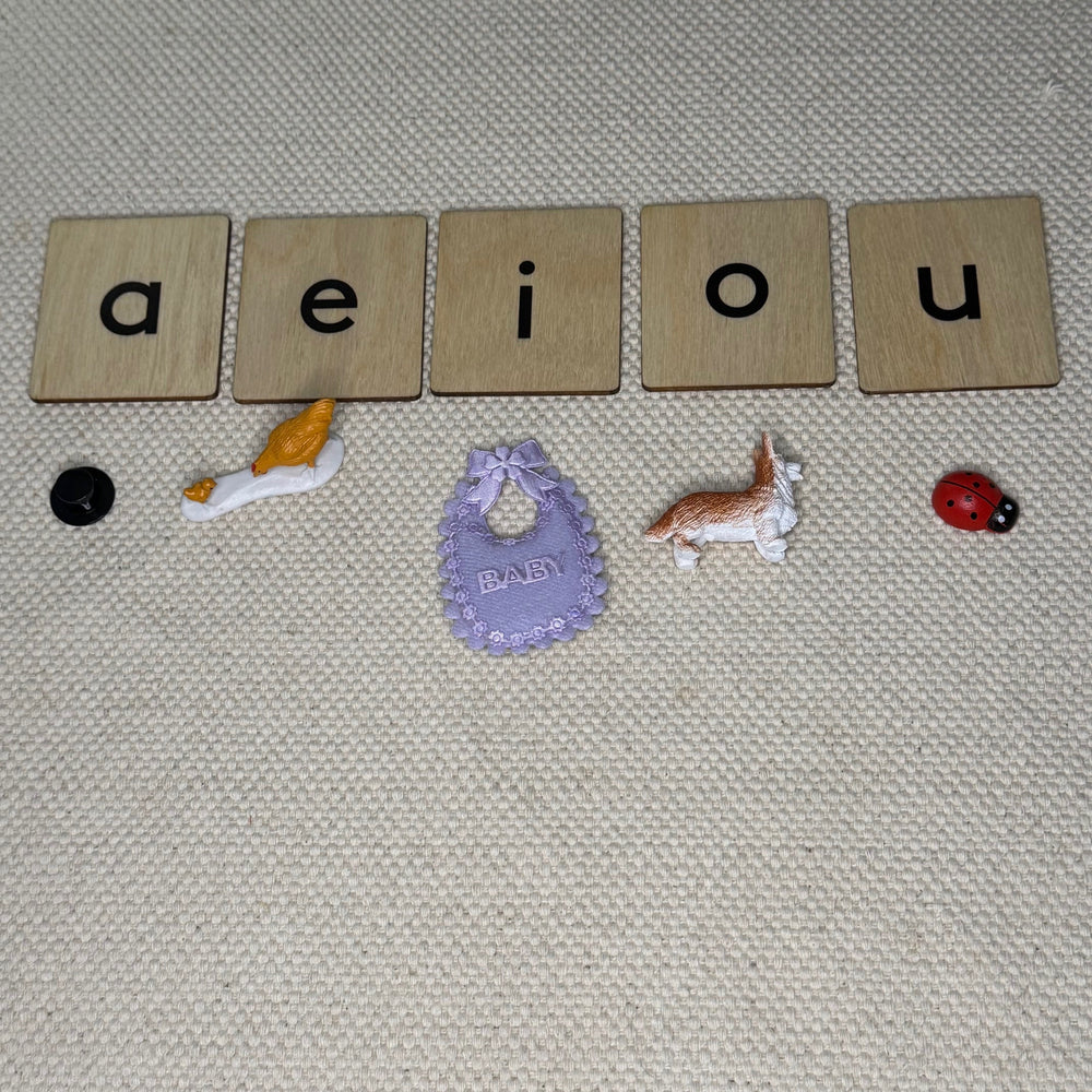 Wooden Language Labels (Vowels, Blends, Digraphs) (ONLINE ORDER ONLY)