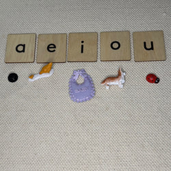 Wooden Language Labels (Vowels, Blends, Digraphs) (ONLINE ORDER ONLY)