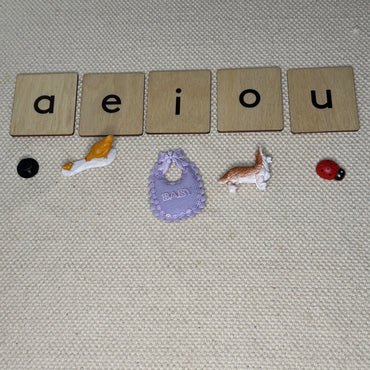 Wooden Language Labels (Vowels, Blends, Digraphs) (ONLINE ORDER ONLY)
