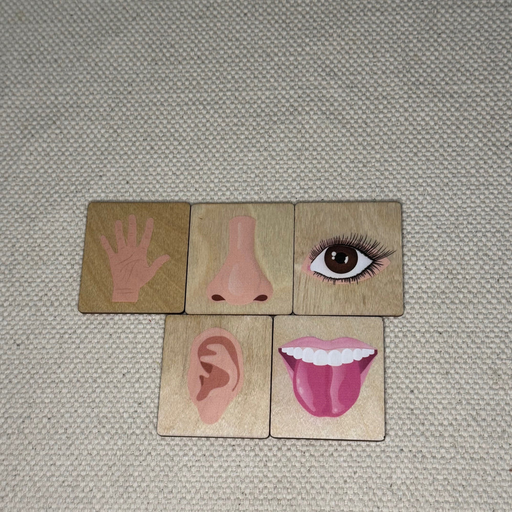 Wooden Language Labels, 4 Seasons, 5 Senses, Syllables, Small, Medium Large (ONLINE ORDER ONLY)