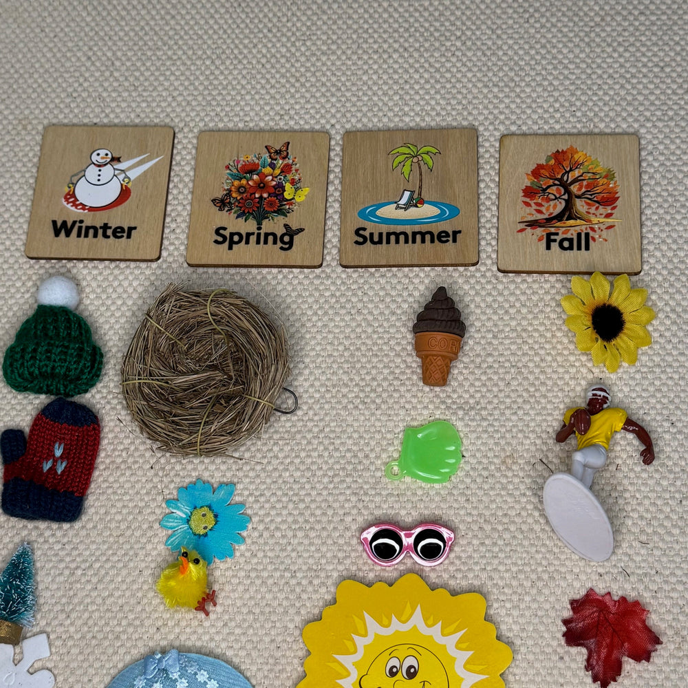 4 Seasons Object Sorting with Wooden Labels (ONLINE ORDER ONLY)