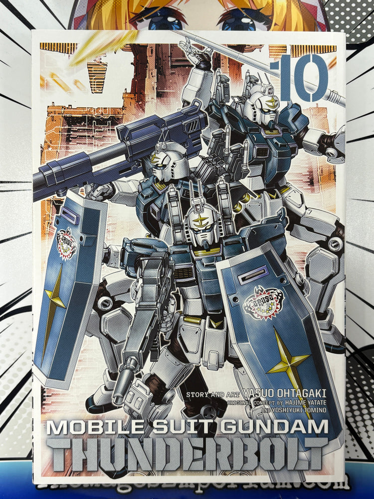 Mobile Suit Gundam Thunderbolt Vol 10 (ONLINE ORDER ONLY)