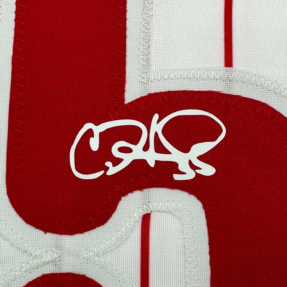 Framed Facsimile Autographed Cole Hamels 35x39 Philadelphia Pinstripe Reprint Laser Auto Baseball Jersey (ONLINE ORDER ONLY)